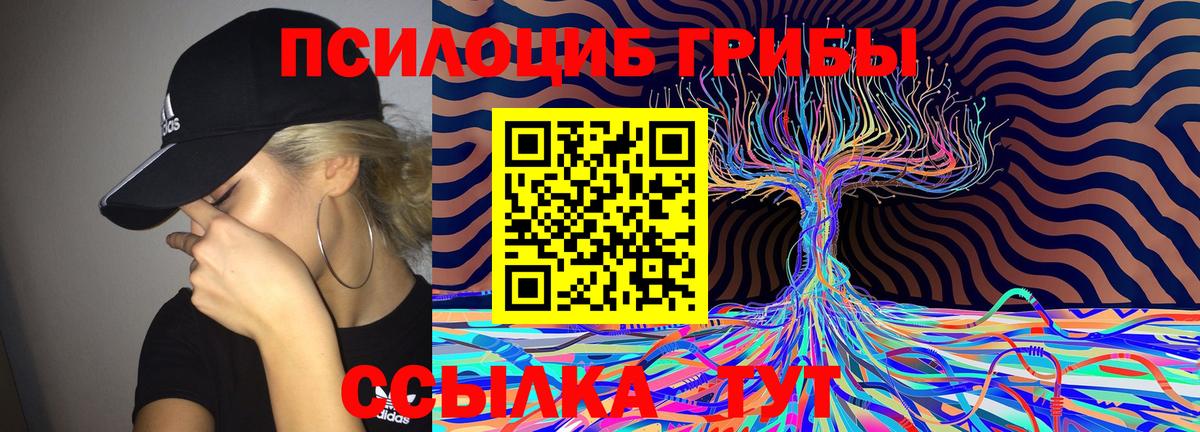 Кохма  Галлюциногенные грибы Magic Shrooms  Вход с VPN  Псилоцибиновые грибы Cubensis 